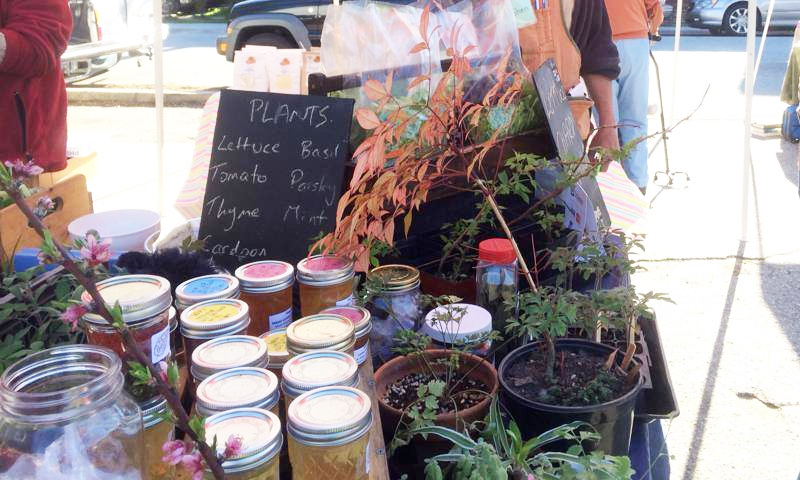 Reedy Fork Ranch - Farmer's Market