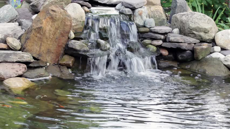 Backyard Water Feature