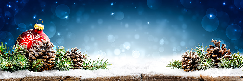 Christmas Ball & Pinecones Christmas Ball & Pinecones